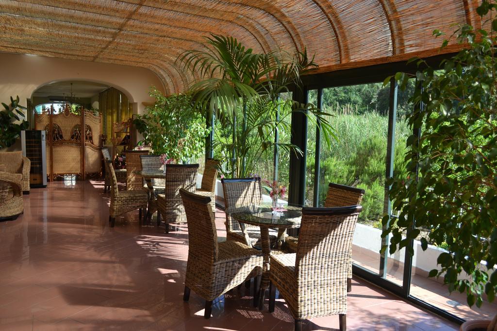 Hotel Maremonti Forio di Ischia Εξωτερικό φωτογραφία